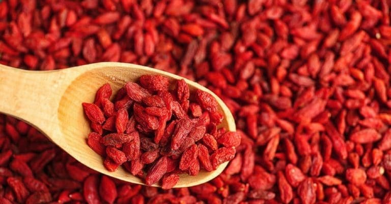 dimagrire bacche di goji